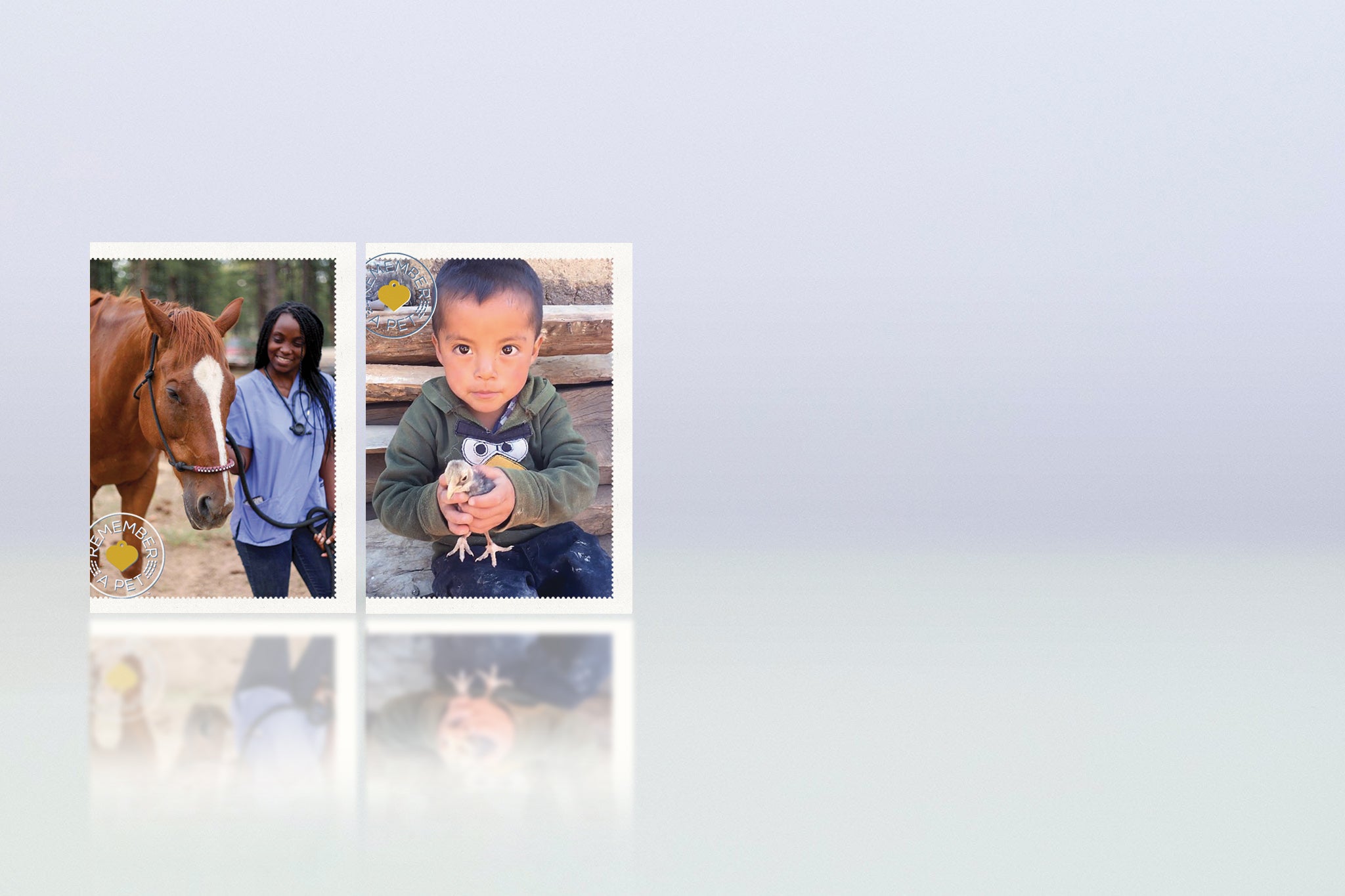 Pet Sympathy Card Pack